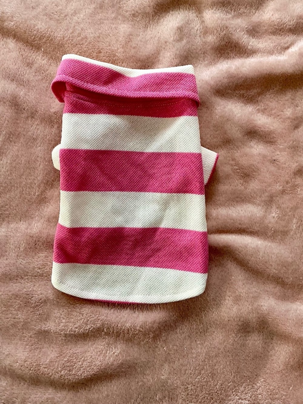 Adorable pink puppy polo